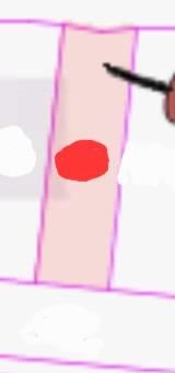 台南鹽水建地-6