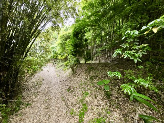 南投草屯農地-7