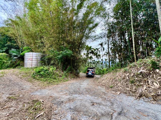 南投草屯農地-9