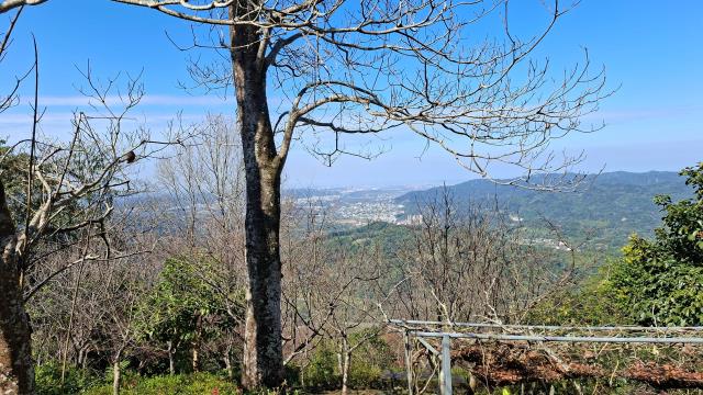 新竹橫山農地-9