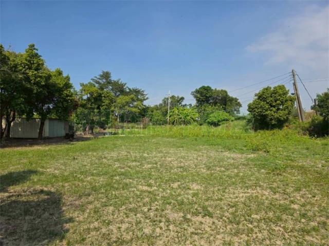 屏東高樹農地-2