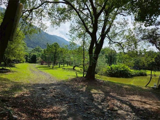 屏東高樹農地-4