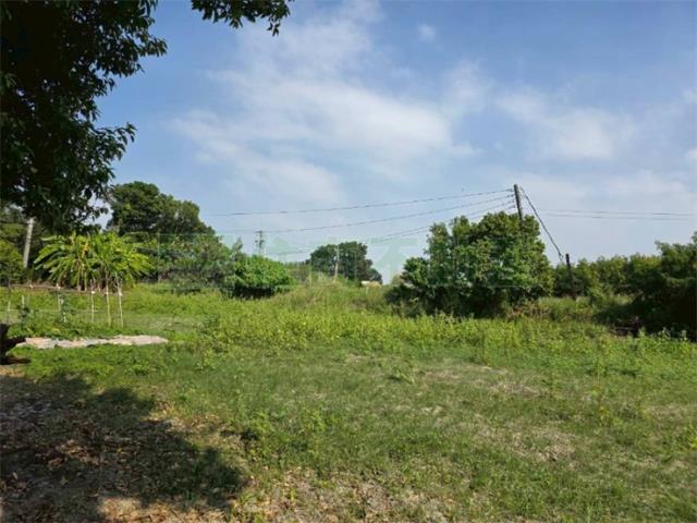 屏東高樹農地-7