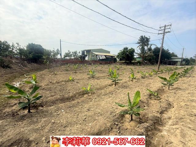 高雄路竹農地-11