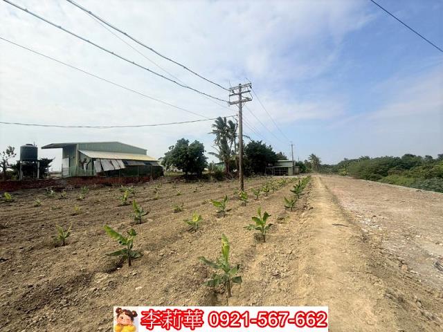 高雄路竹農地-7