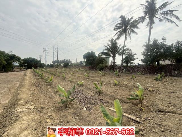 高雄路竹農地-8