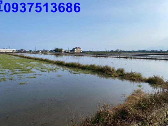 宜蘭壯圍農地-1