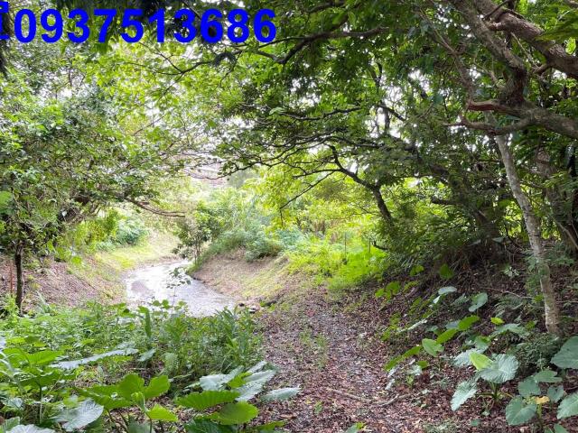 宜蘭頭城建地-9