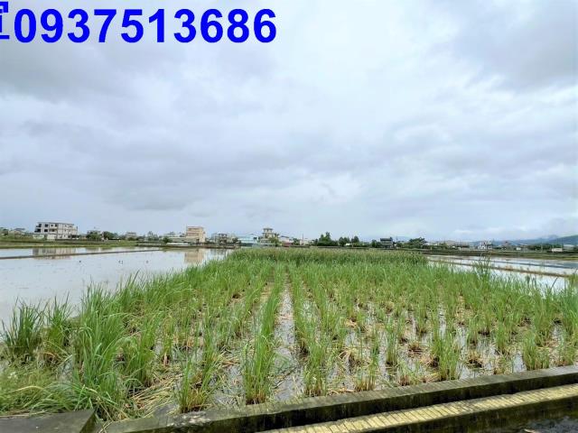 宜蘭礁溪農地-3