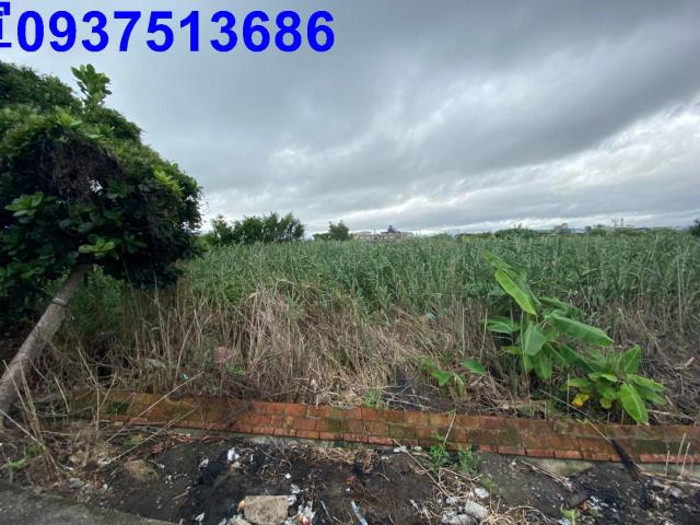 宜蘭壯圍農地-4