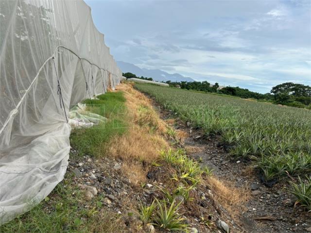 屏東農地-12
