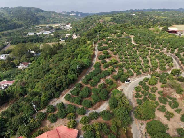 高雄大樹農地-5