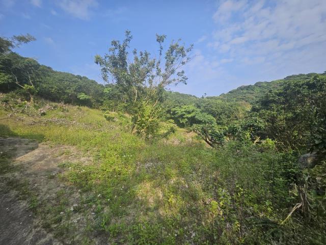 高雄大樹農地-1