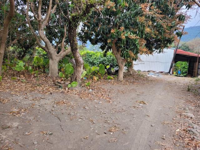 高雄六龜農地-11