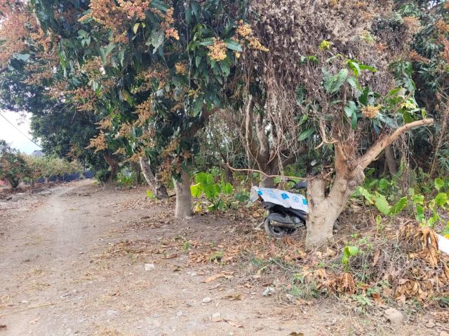 高雄六龜農地-9