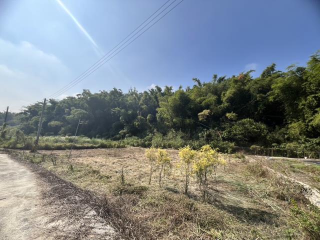 台南左鎮農地-4