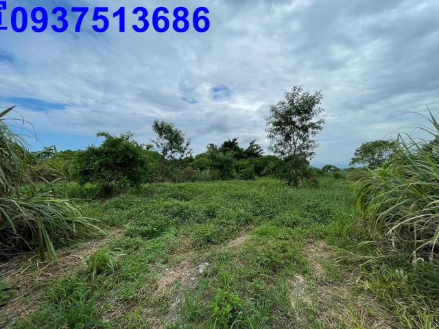 宜蘭宜蘭市農地-11