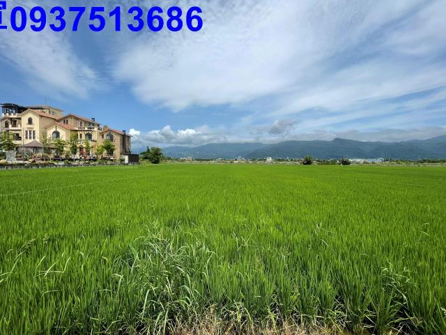 宜蘭礁溪農地-13