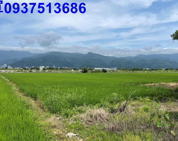 宜蘭礁溪農地-14