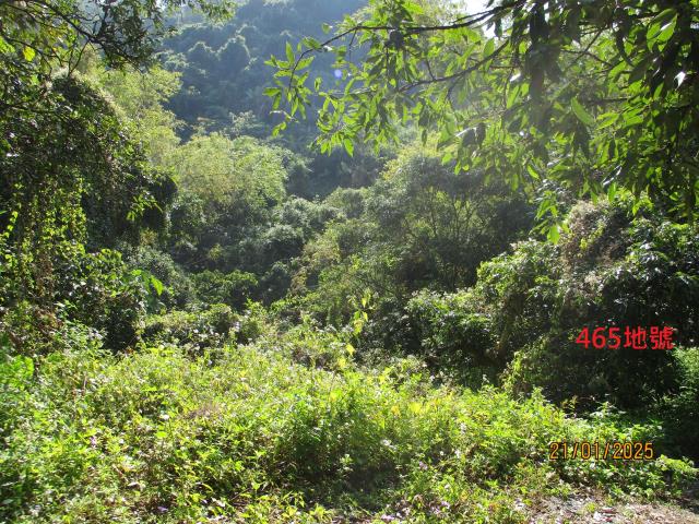 霧峰林地法拍-03