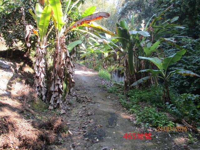 霧峰林地法拍-04