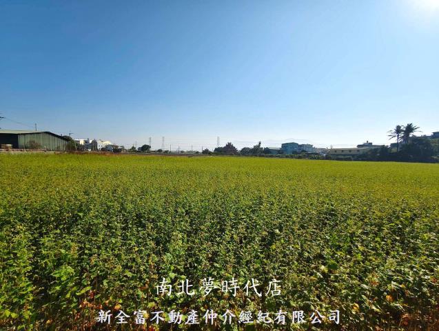 台南白河農地-1
