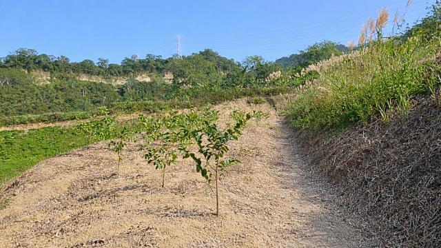 新竹北埔農地-10