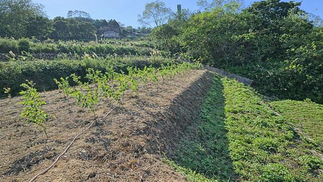 新竹北埔農地-3
