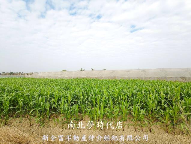 台南柳營農地-1