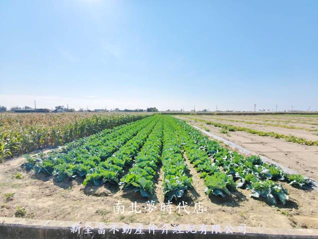 台南將軍農地-2