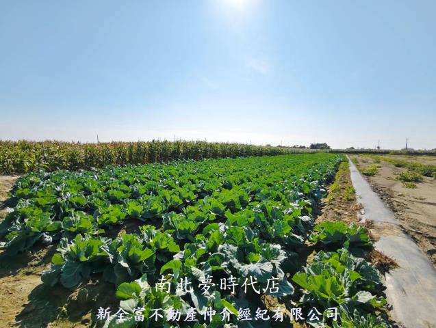 台南將軍農地-5