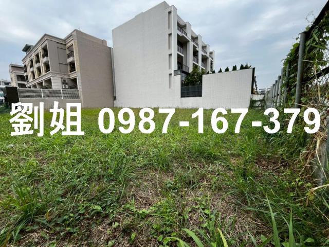 高雄仁武建地-2