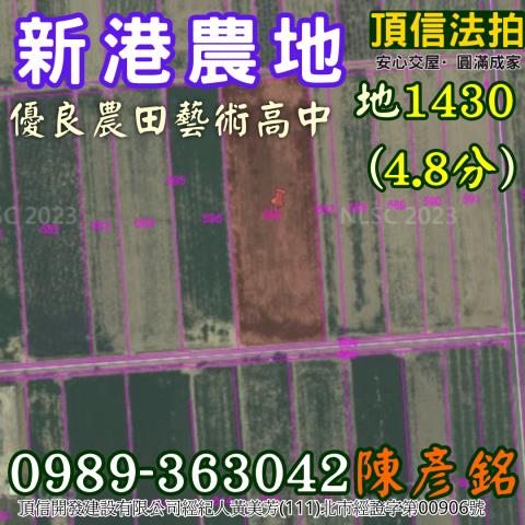 新港法拍農地-3