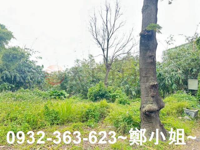 桃園八德農地-11