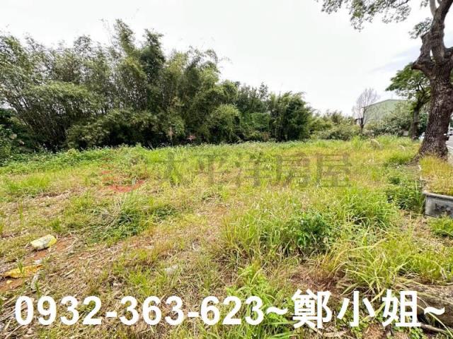 桃園八德農地-3