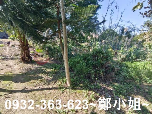 桃園桃園區農地-2