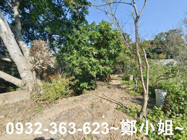 桃園桃園區農地-3