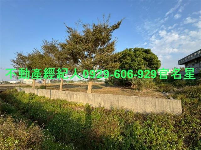 嘉義鹿草工業地-4