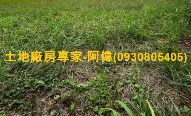 高雄仁武住宅地-1