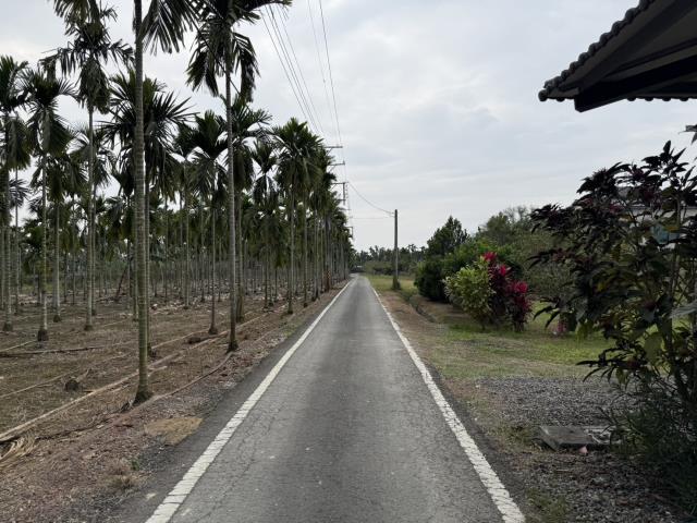 屏東內埔農地-2