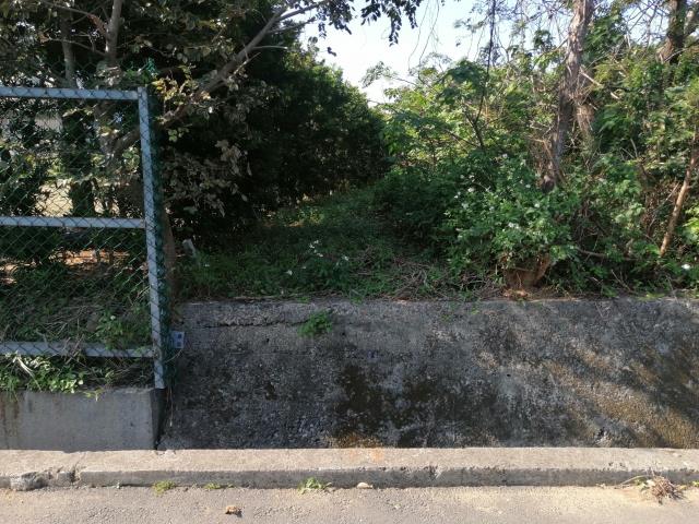 桃園中壢農地-4