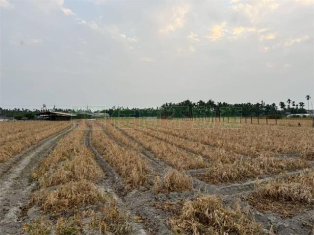 屏東屏東市農地-5