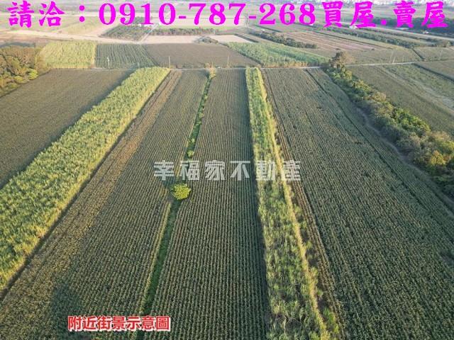 麻豆農地-7