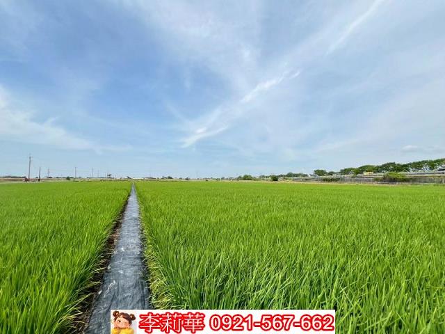 新營農地-9