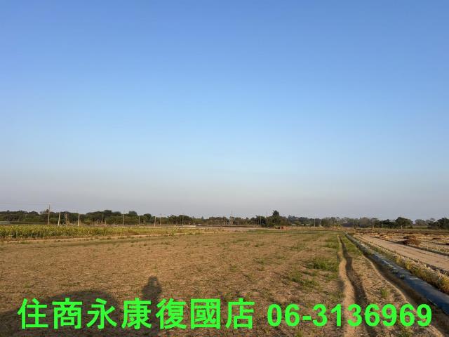 善化農地-1