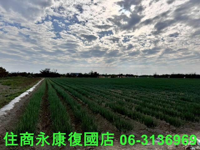安南農地-4