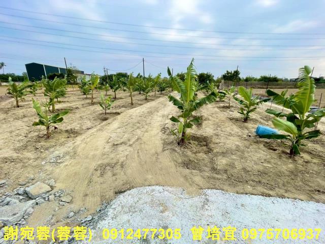 高雄農地-4