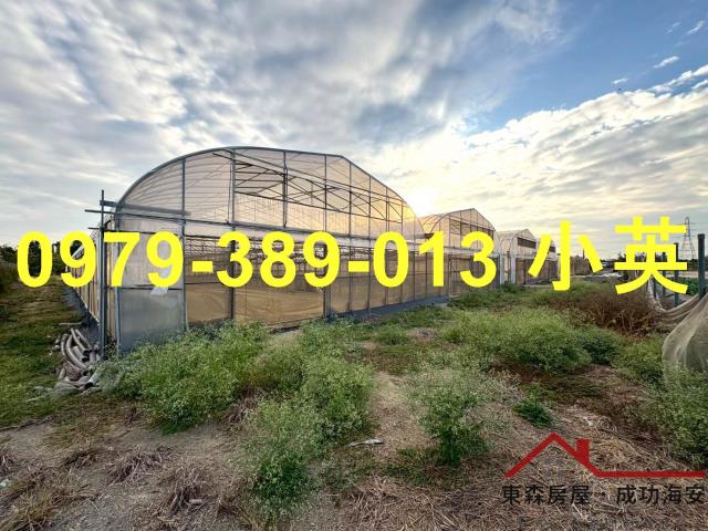 高雄路竹農地-3