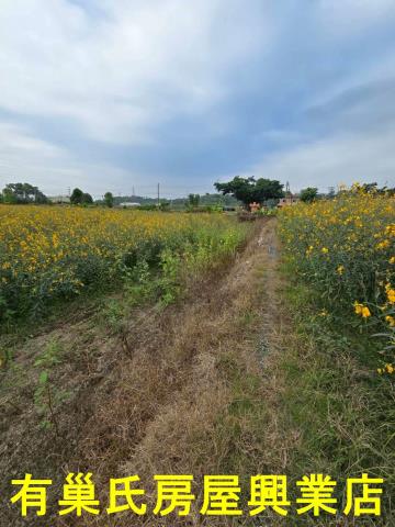 嘉義中埔建地-9