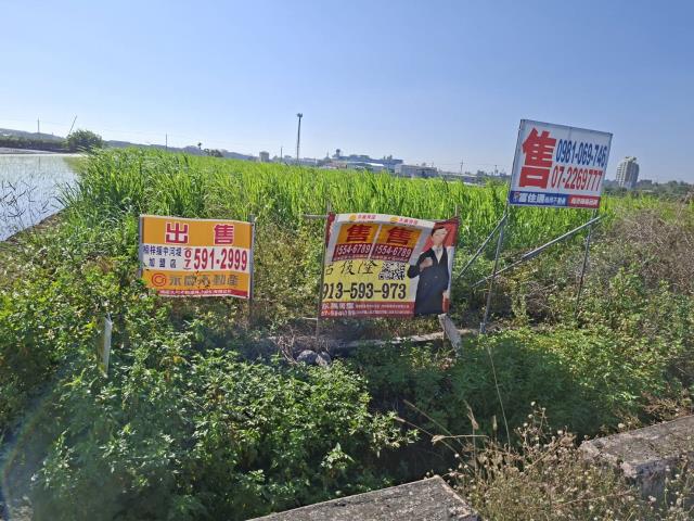 高雄橋頭農地-11